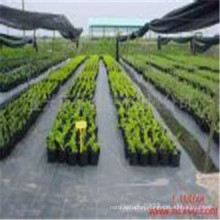 100GSM Black PP Woven Weed Barrier PP Nonwoven Fabric for Agriculture